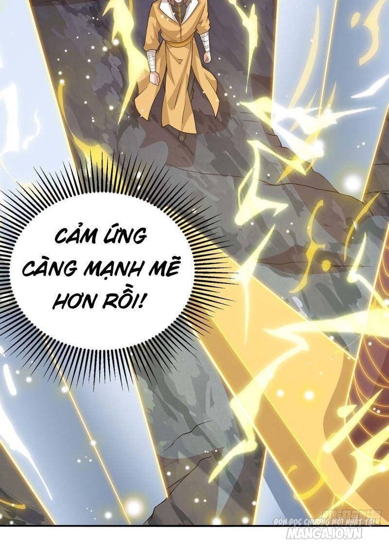 Trọng Sinh Sau Tám Vạn Năm Chapter 196 - Trang 2