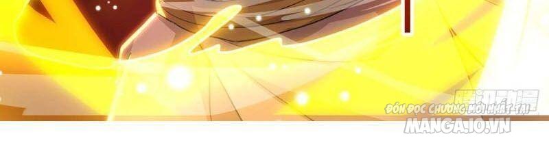 Trọng Sinh Sau Tám Vạn Năm Chapter 198 - Trang 2