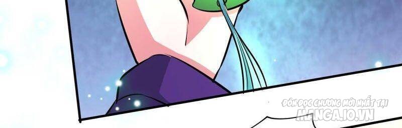 Trọng Sinh Sau Tám Vạn Năm Chapter 199 - Trang 2