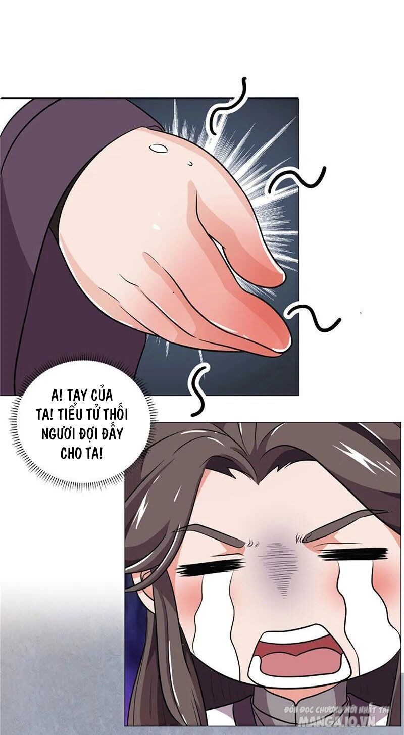 Trọng Sinh Sau Tám Vạn Năm Chapter 20 - Trang 2