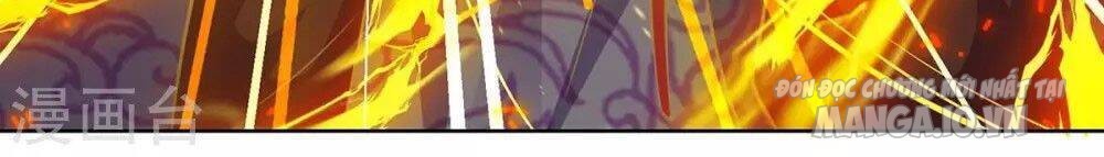 Trọng Sinh Sau Tám Vạn Năm Chapter 203 - Trang 2