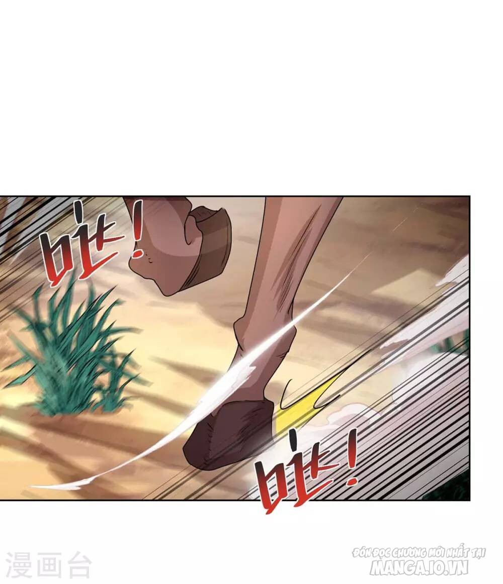 Trọng Sinh Sau Tám Vạn Năm Chapter 205 - Trang 2