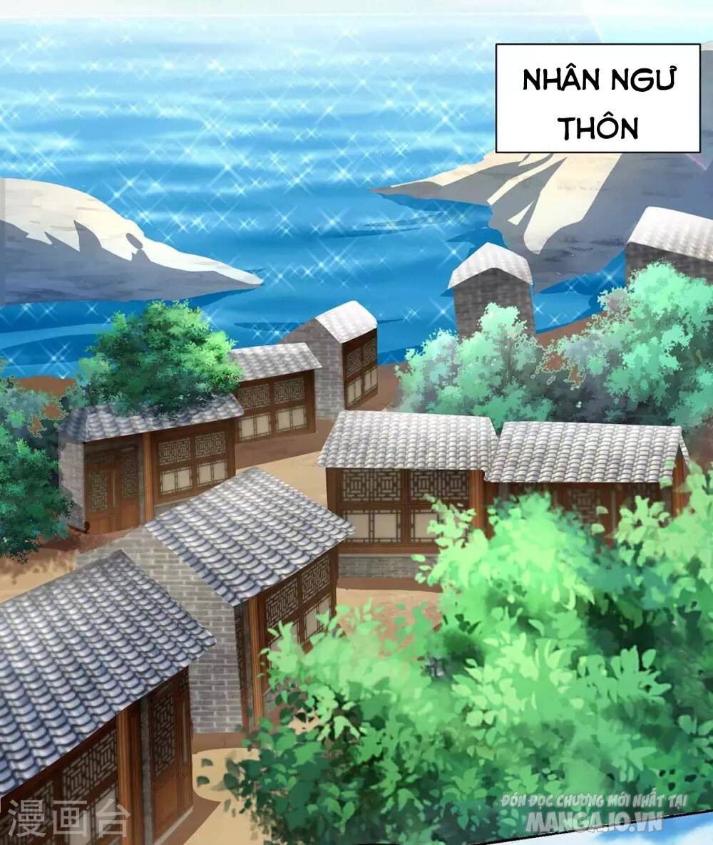 Trọng Sinh Sau Tám Vạn Năm Chapter 205 - Trang 2