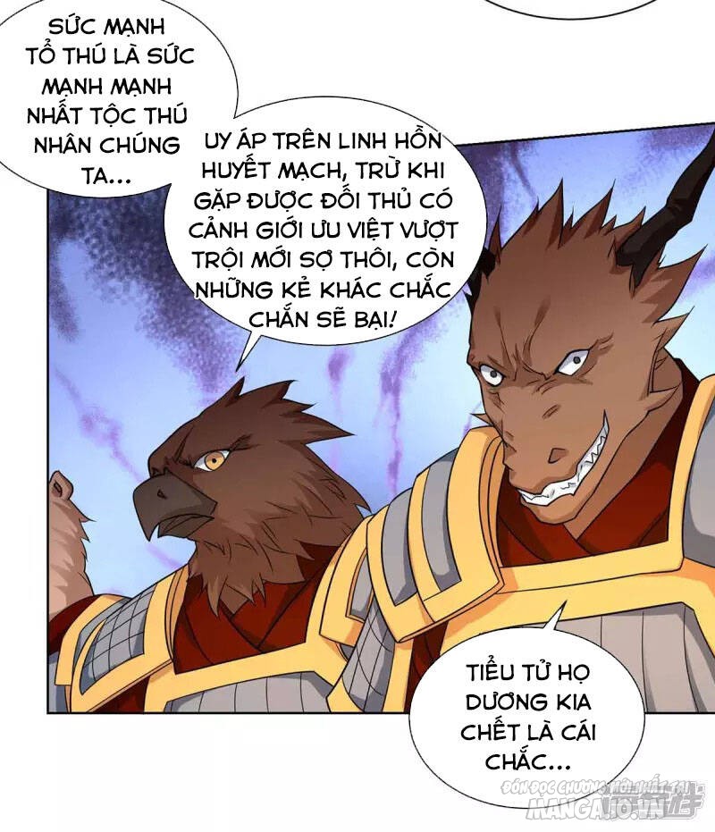 Trọng Sinh Sau Tám Vạn Năm Chapter 214 - Trang 2