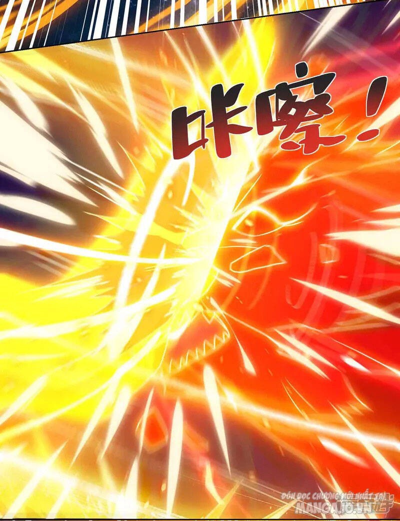 Trọng Sinh Sau Tám Vạn Năm Chapter 214 - Trang 2