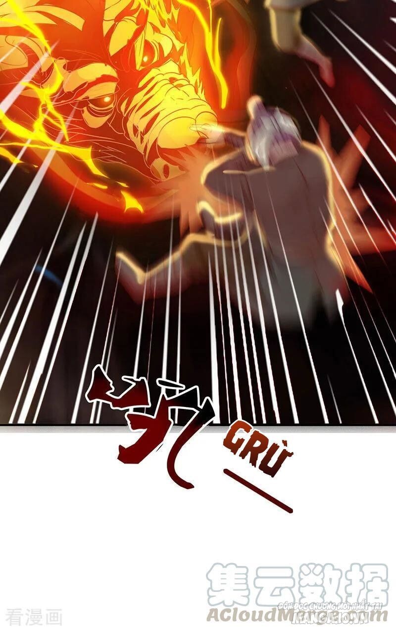 Trọng Sinh Sau Tám Vạn Năm Chapter 22 - Trang 2