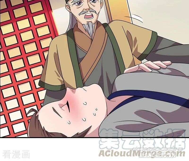 Trọng Sinh Sau Tám Vạn Năm Chapter 23 - Trang 2