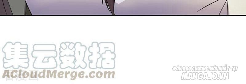 Trọng Sinh Sau Tám Vạn Năm Chapter 23 - Trang 2