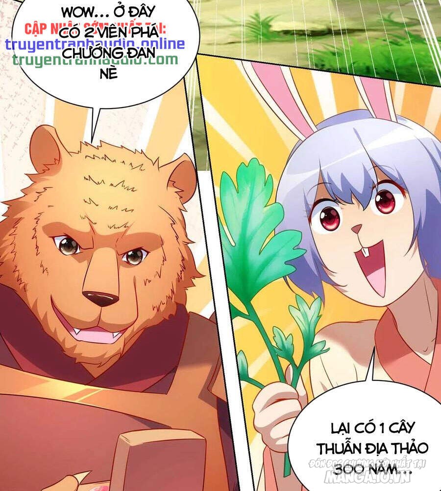 Trọng Sinh Sau Tám Vạn Năm Chapter 233 - Trang 2