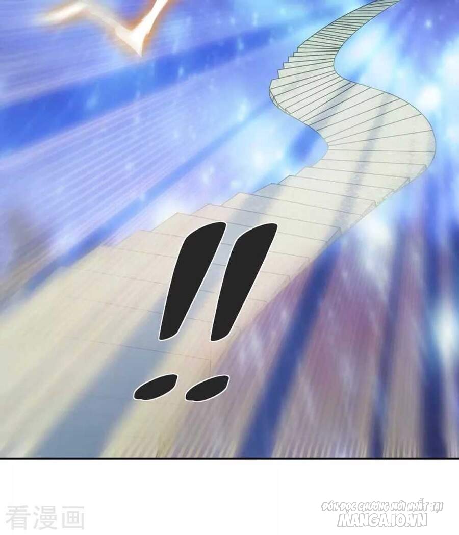 Trọng Sinh Sau Tám Vạn Năm Chapter 234 - Trang 2