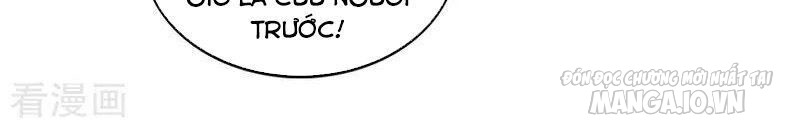 Trọng Sinh Sau Tám Vạn Năm Chapter 24 - Trang 2