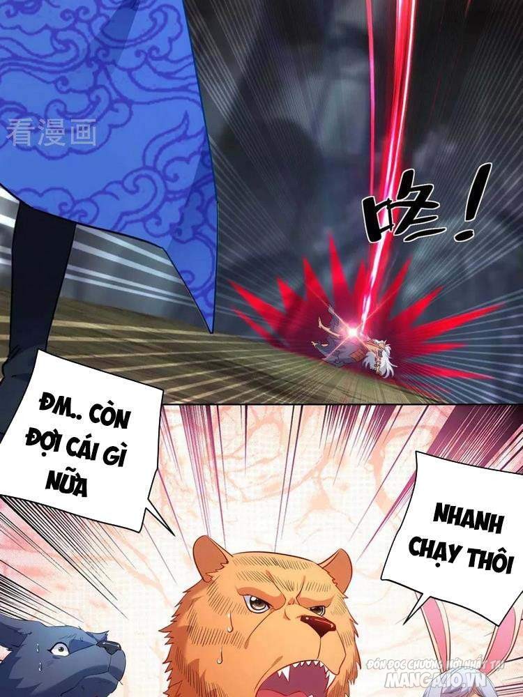 Trọng Sinh Sau Tám Vạn Năm Chapter 240 - Trang 2