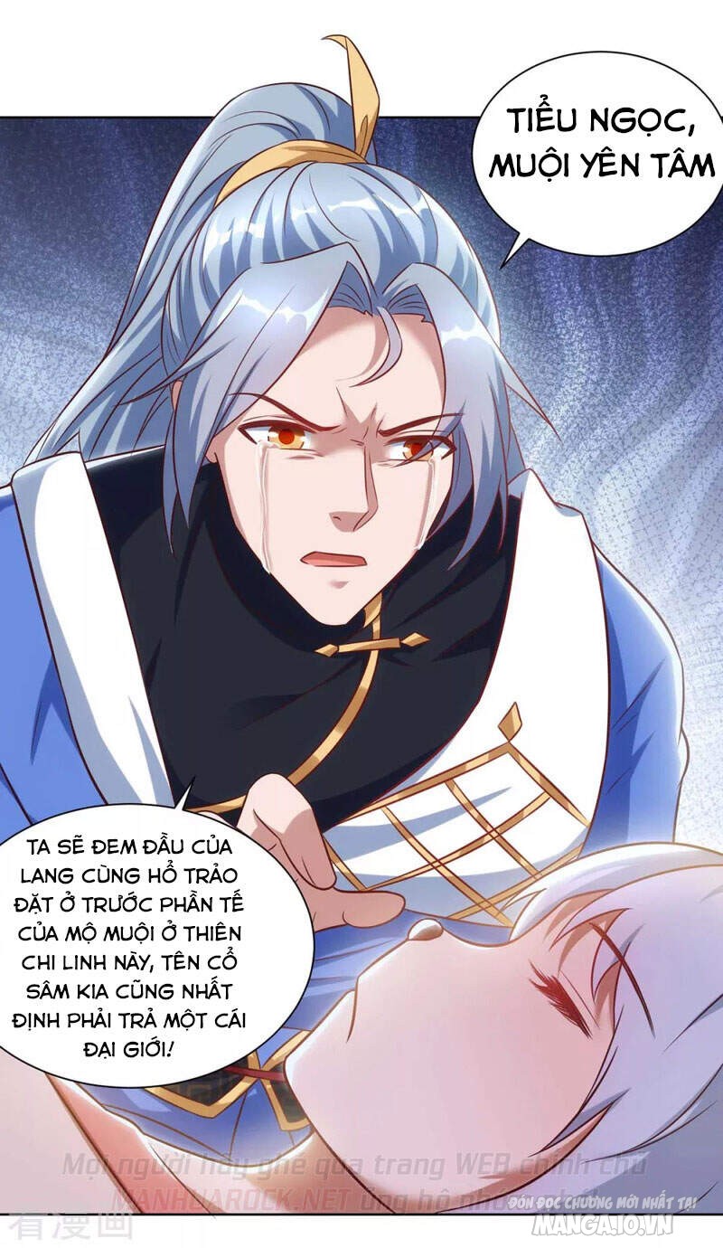 Trọng Sinh Sau Tám Vạn Năm Chapter 246 - Trang 2