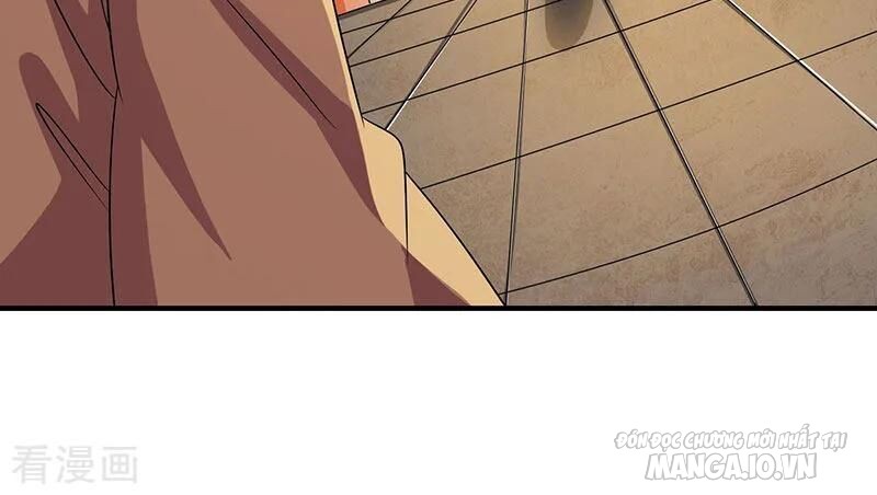 Trọng Sinh Sau Tám Vạn Năm Chapter 25 - Trang 2