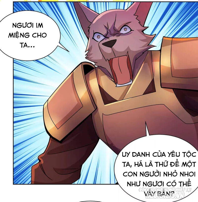 Trọng Sinh Sau Tám Vạn Năm Chapter 250 - Trang 2