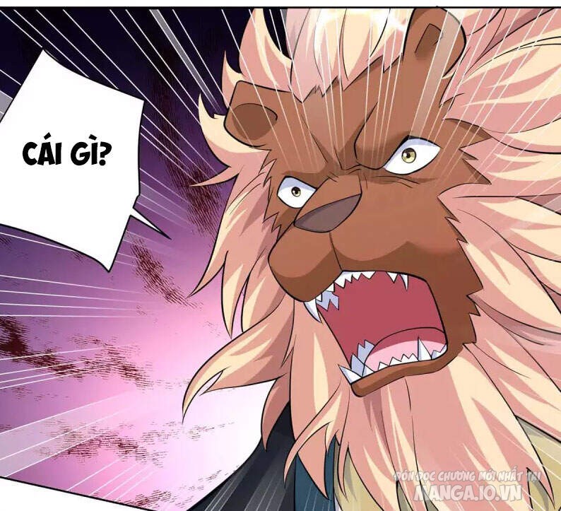 Trọng Sinh Sau Tám Vạn Năm Chapter 256 - Trang 2