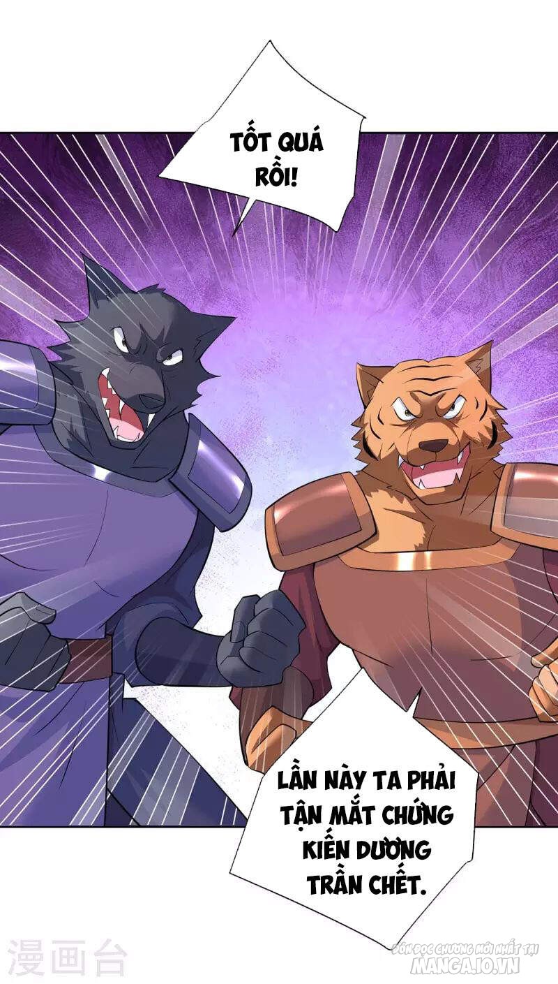 Trọng Sinh Sau Tám Vạn Năm Chapter 258 - Trang 2