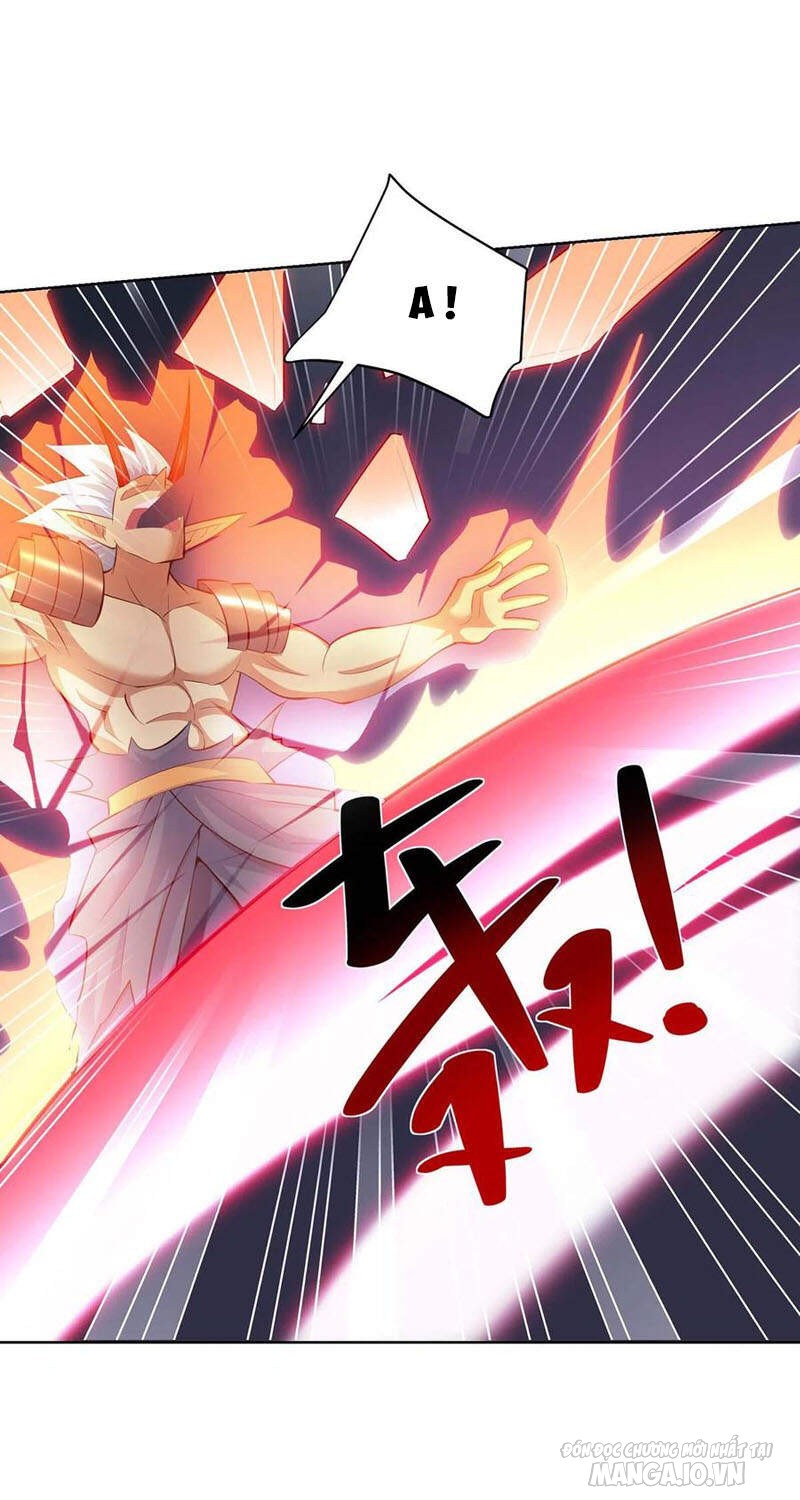 Trọng Sinh Sau Tám Vạn Năm Chapter 259 - Trang 2