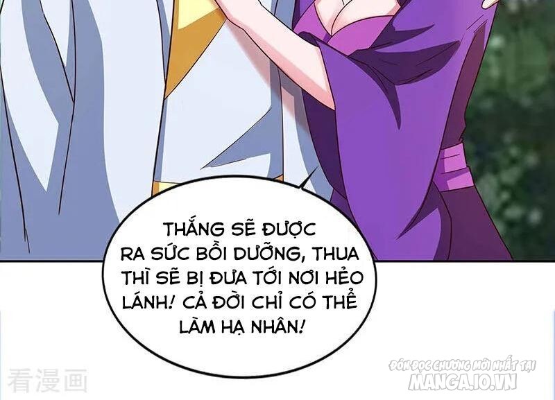 Trọng Sinh Sau Tám Vạn Năm Chapter 26 - Trang 2