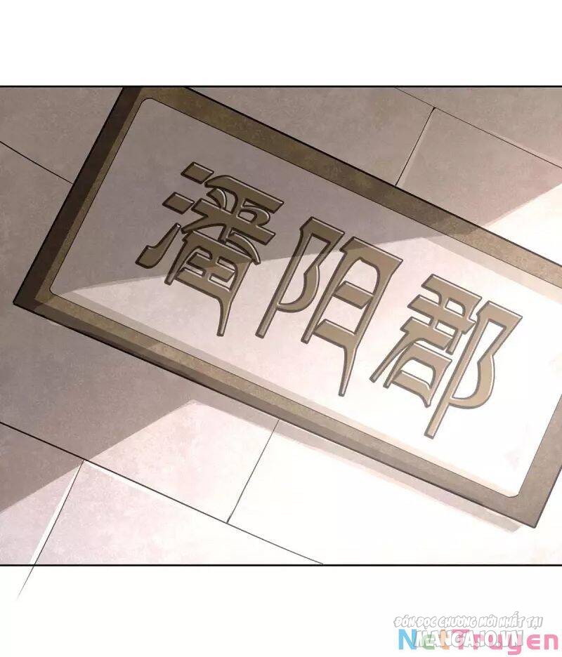 Trọng Sinh Sau Tám Vạn Năm Chapter 273 - Trang 2