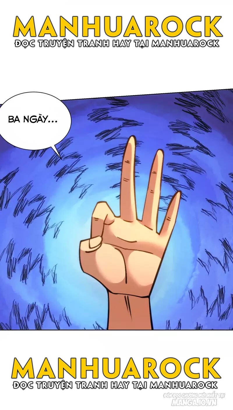 Trọng Sinh Sau Tám Vạn Năm Chapter 275 - Trang 2