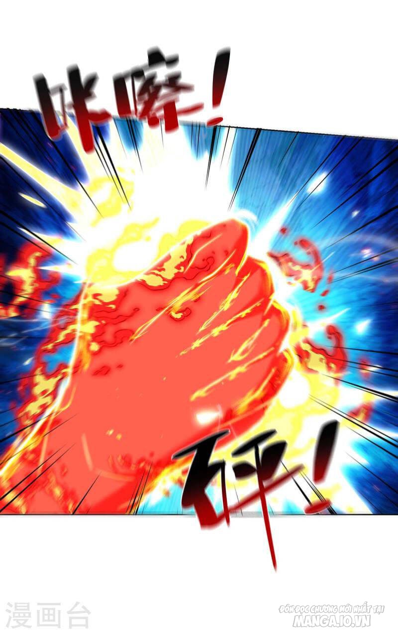 Trọng Sinh Sau Tám Vạn Năm Chapter 281 - Trang 2