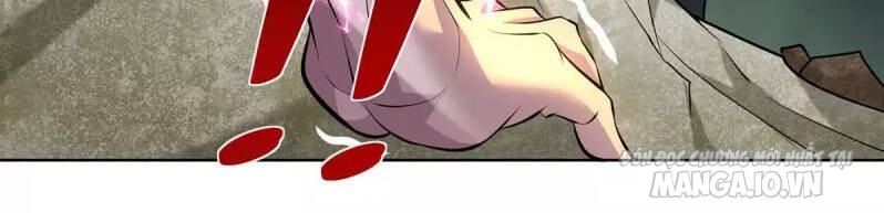 Trọng Sinh Sau Tám Vạn Năm Chapter 283 - Trang 2