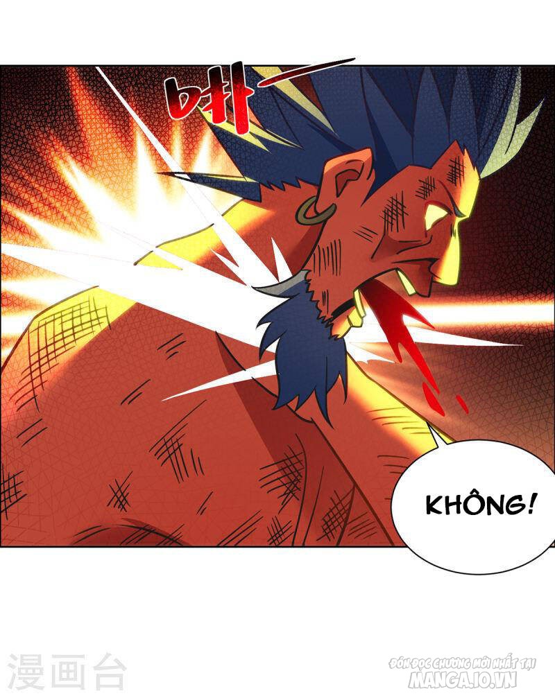 Trọng Sinh Sau Tám Vạn Năm Chapter 284 - Trang 2