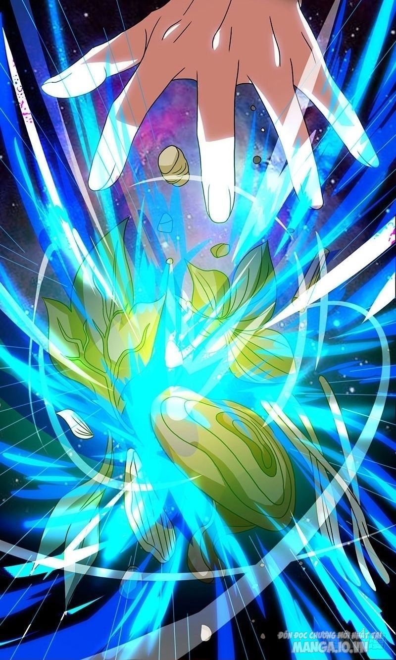 Trọng Sinh Sau Tám Vạn Năm Chapter 3 - Trang 2