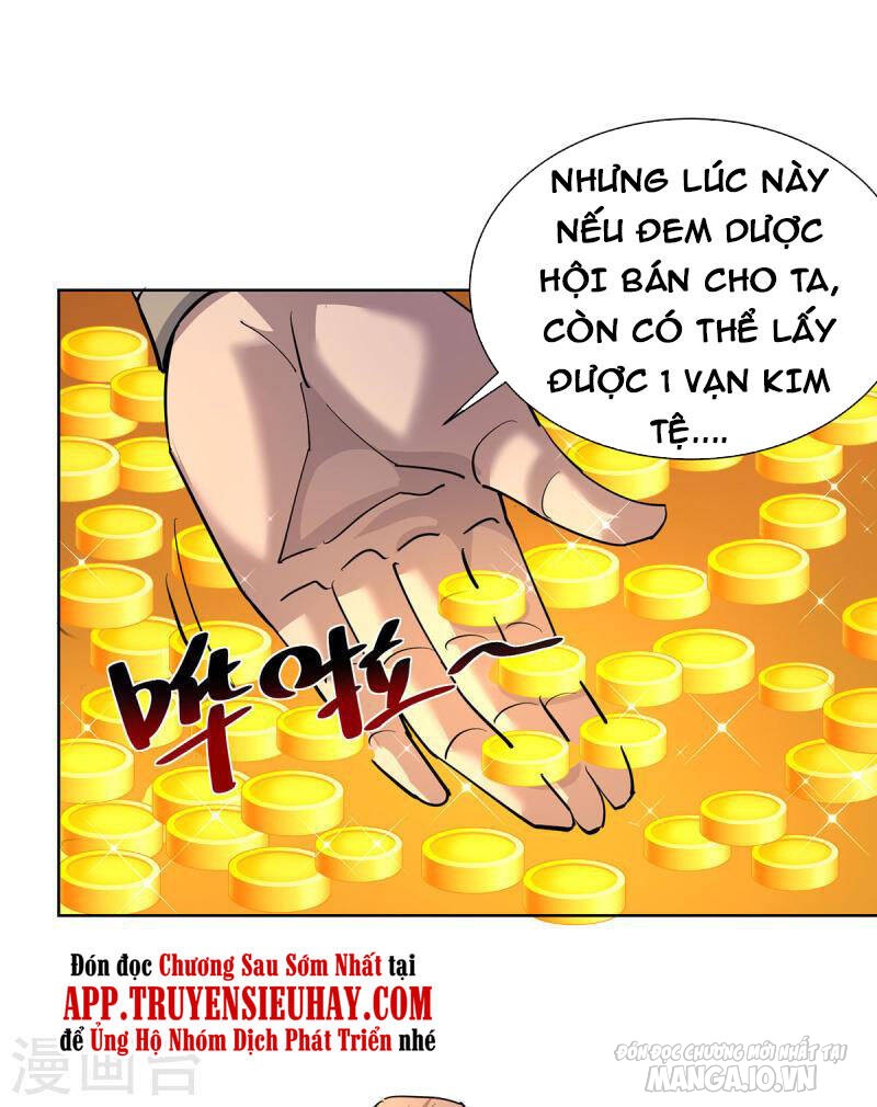 Trọng Sinh Sau Tám Vạn Năm Chapter 302 - Trang 2