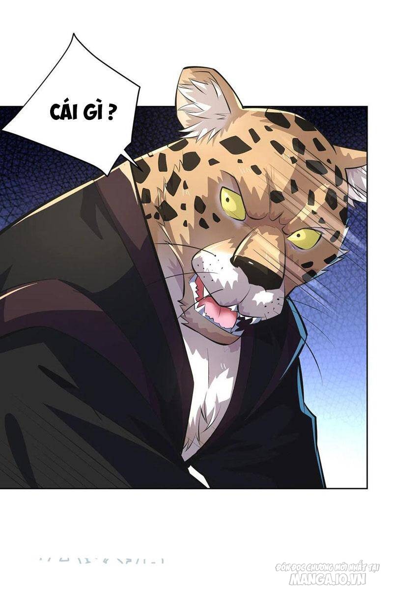 Trọng Sinh Sau Tám Vạn Năm Chapter 305 - Trang 2