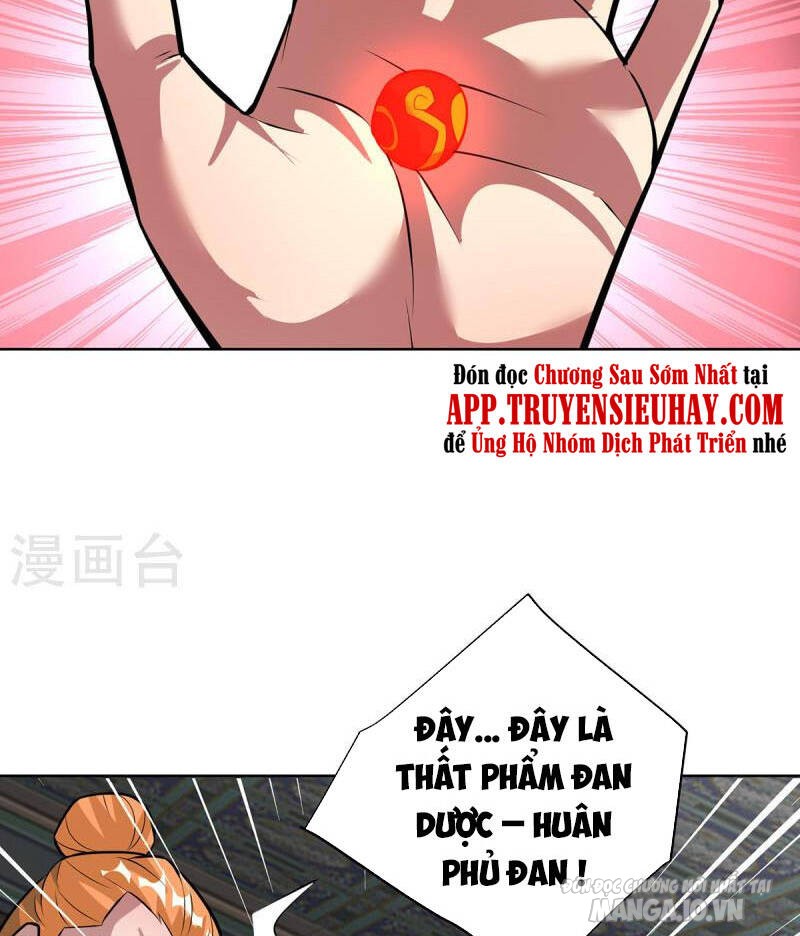 Trọng Sinh Sau Tám Vạn Năm Chapter 320 - Trang 2