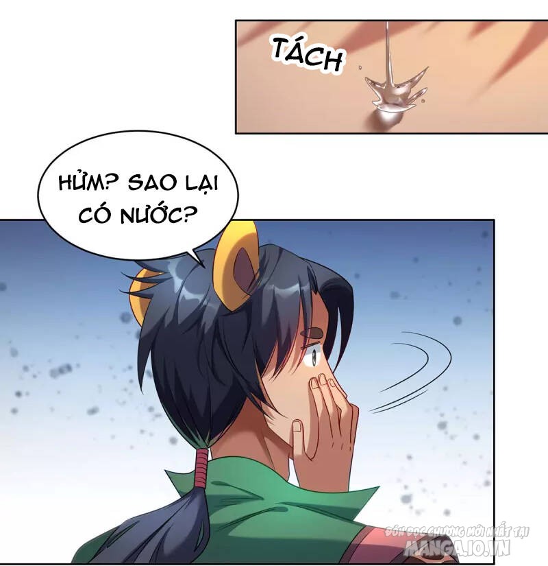 Trọng Sinh Sau Tám Vạn Năm Chapter 325 - Trang 2