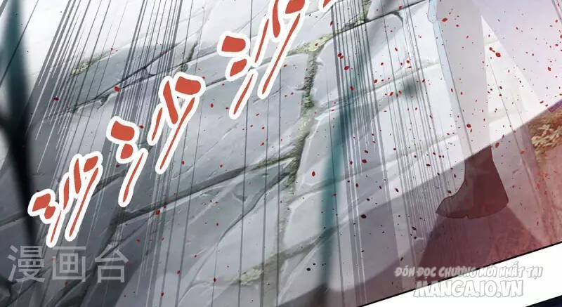 Trọng Sinh Sau Tám Vạn Năm Chapter 326 - Trang 2