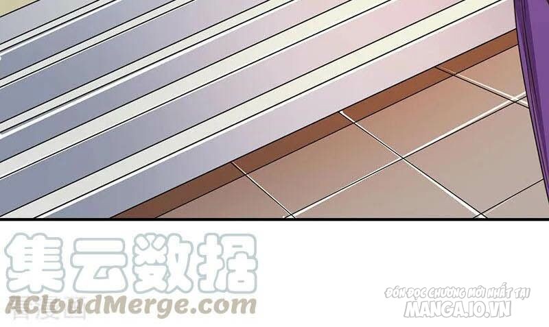 Trọng Sinh Sau Tám Vạn Năm Chapter 35 - Trang 2