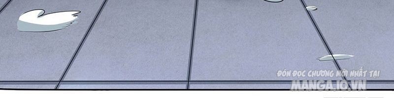 Trọng Sinh Sau Tám Vạn Năm Chapter 4 - Trang 2