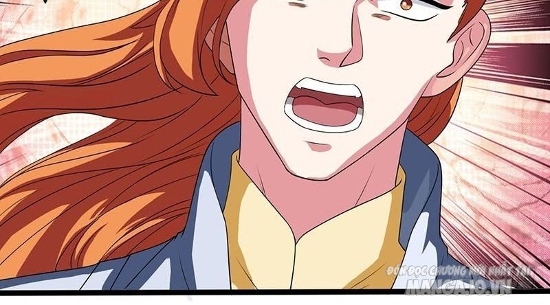 Trọng Sinh Sau Tám Vạn Năm Chapter 5 - Trang 2