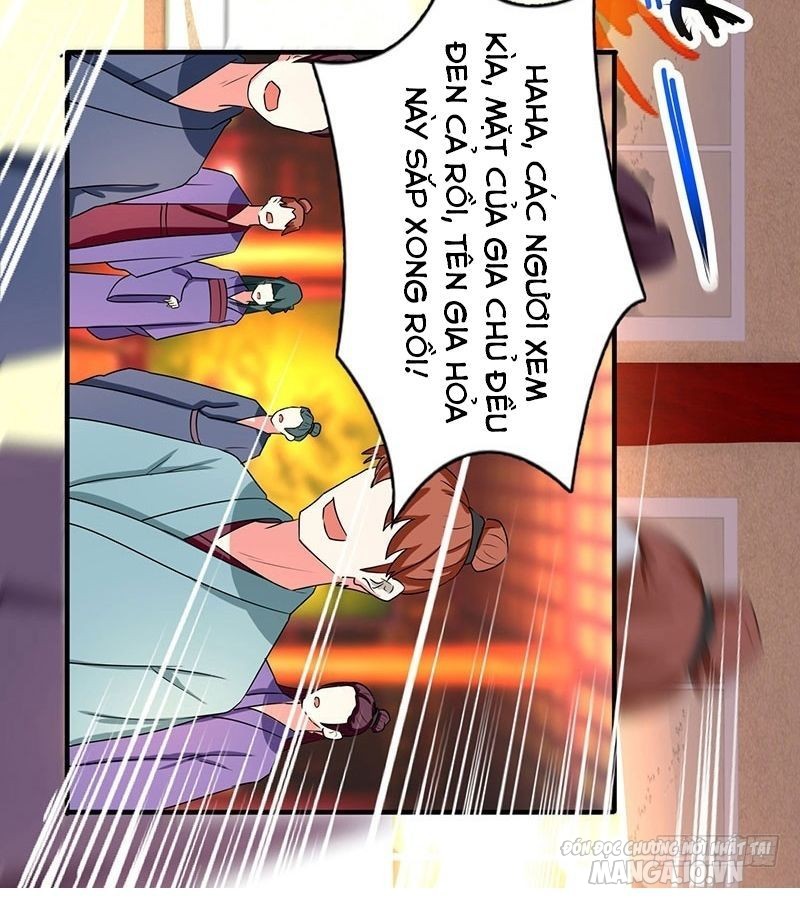 Trọng Sinh Sau Tám Vạn Năm Chapter 6 - Trang 2