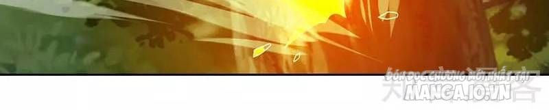 Trọng Sinh Sau Tám Vạn Năm Chapter 65 - Trang 2
