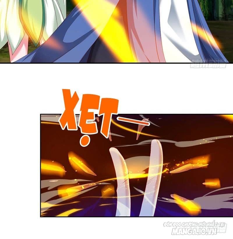 Trọng Sinh Sau Tám Vạn Năm Chapter 67 - Trang 2