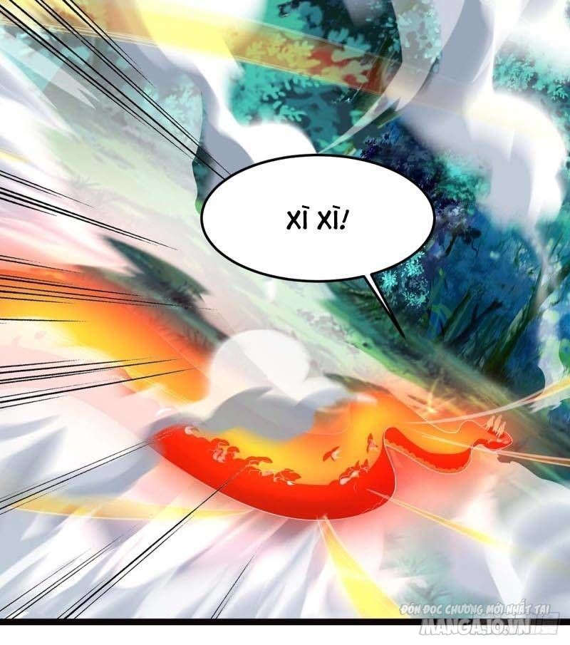 Trọng Sinh Sau Tám Vạn Năm Chapter 78 - Trang 2