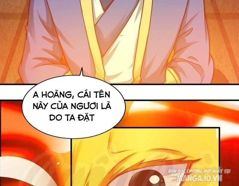 Trọng Sinh Sau Tám Vạn Năm Chapter 83 - Trang 2