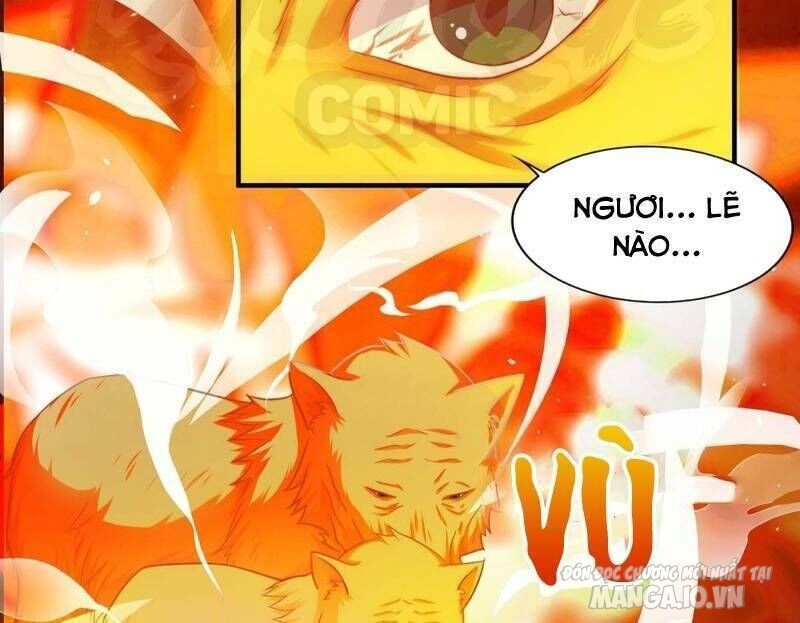 Trọng Sinh Sau Tám Vạn Năm Chapter 83 - Trang 2