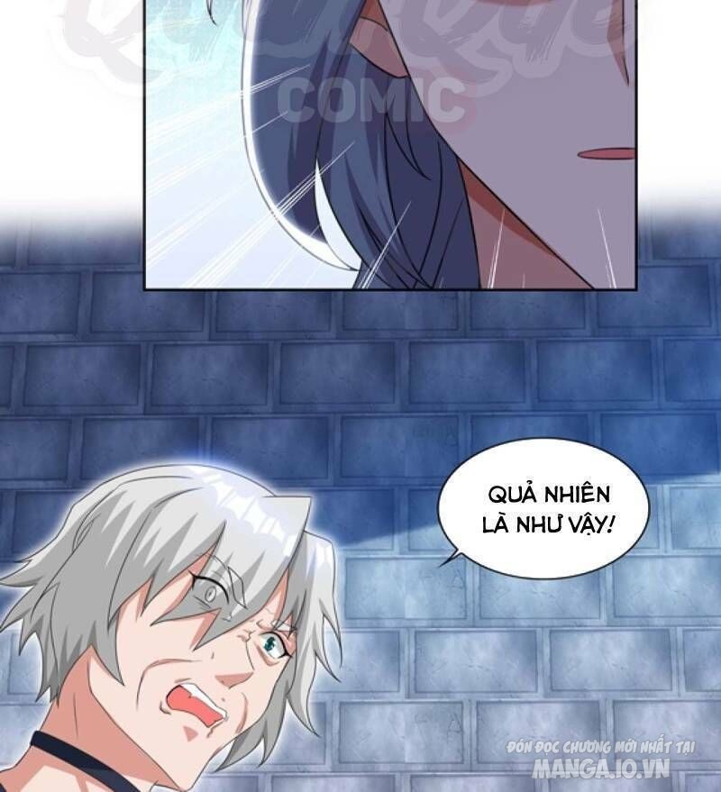 Trọng Sinh Sau Tám Vạn Năm Chapter 83 - Trang 2