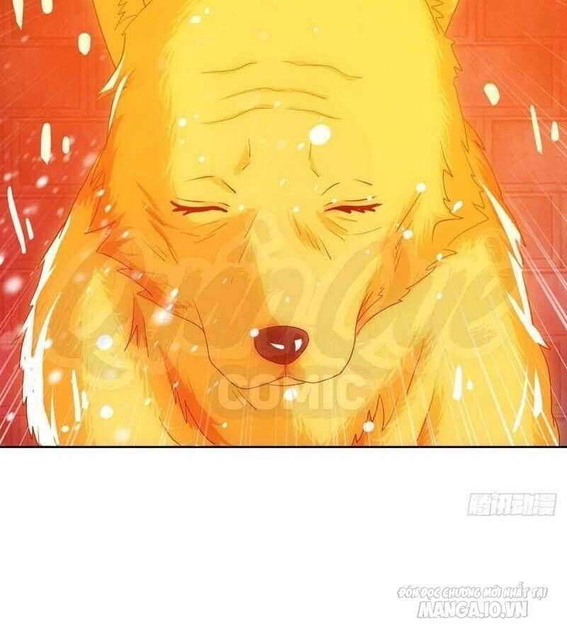 Trọng Sinh Sau Tám Vạn Năm Chapter 84 - Trang 2