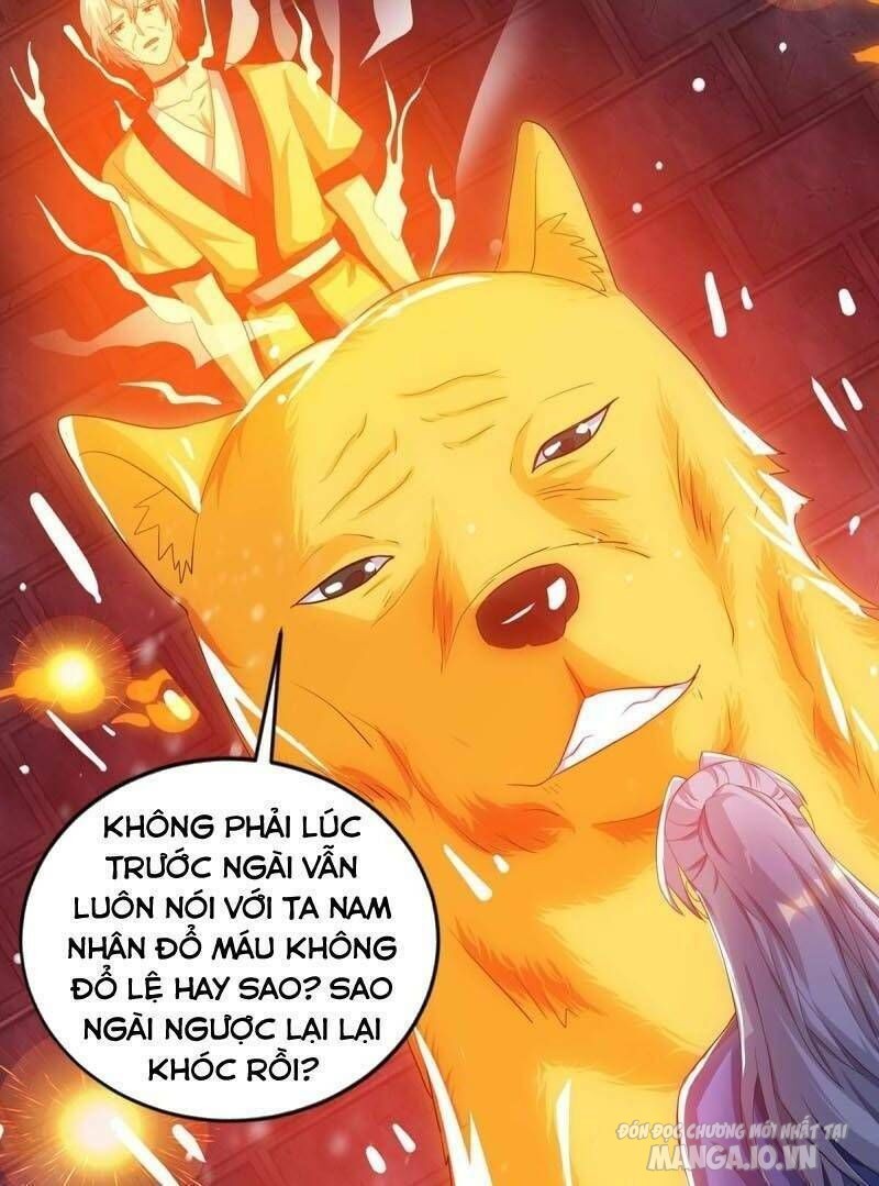 Trọng Sinh Sau Tám Vạn Năm Chapter 84 - Trang 2