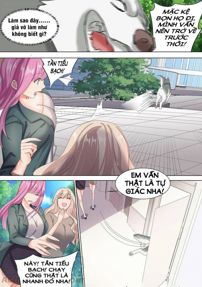 Trọng Sinh Thành Chó Của Nữ Thần Chapter 10 - Trang 2
