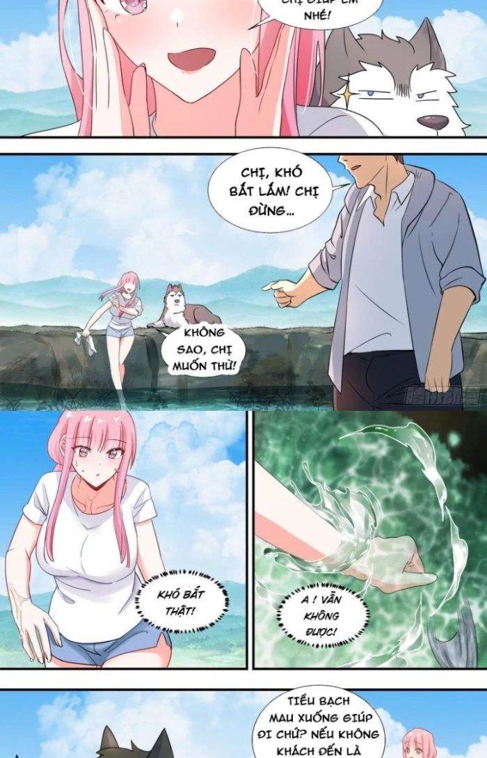 Trọng Sinh Thành Chó Của Nữ Thần Chapter 100 - Trang 2