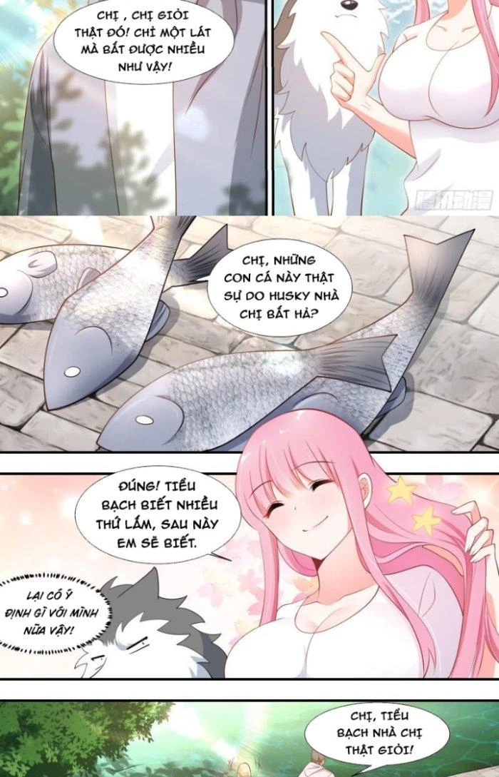 Trọng Sinh Thành Chó Của Nữ Thần Chapter 100 - Trang 2