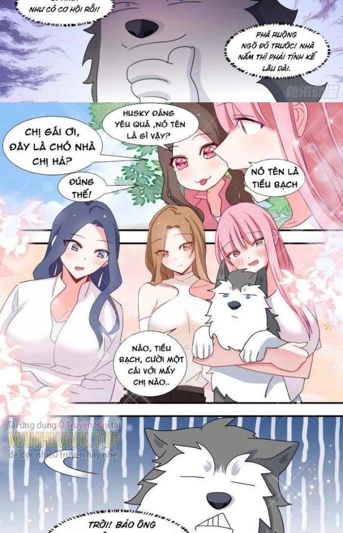 Trọng Sinh Thành Chó Của Nữ Thần Chapter 101 - Trang 2